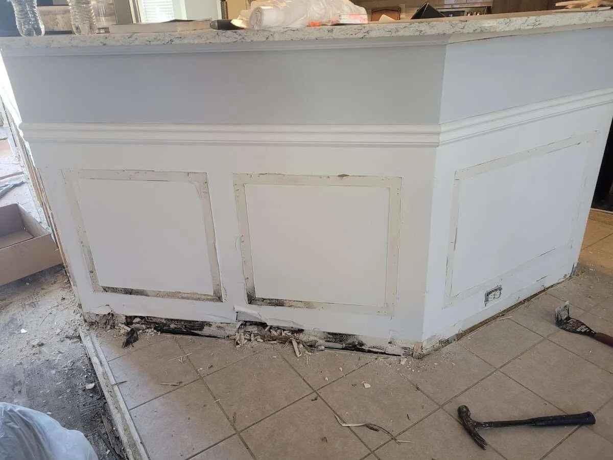 Water damage and mold on kitchen during Mold Inspection & Testing in Port Lavaca